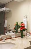 Туры в отель Royal Palm Plaza Resort Campinas