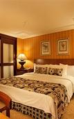Туры в отель Royal Palm Plaza Resort Campinas