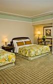 Туры в отель Royal Palm Plaza Resort Campinas