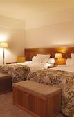 Туры в отель Royal Palm Plaza Resort Campinas