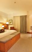 Туры в отель Royal Palm Plaza Resort Campinas