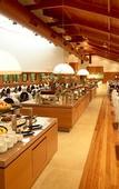 Туры в отель Royal Palm Plaza Resort Campinas