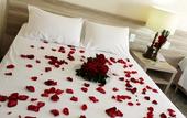 Туры в отель Hotel Dan Inn Campinas Anhanguera By Nacional Inn