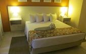 Туры в отель Nobile Inn Executive Ribeirao Preto