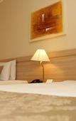 Туры в отель Hotel Golden Park Ribeirao Preto By Nacional Inn