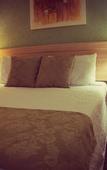 Туры в отель Hotel Golden Park Ribeirao Preto By Nacional Inn