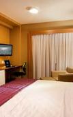 Туры в отель Comfort Hotel Sertaozinho