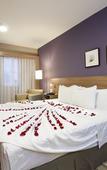 Туры в отель Comfort Hotel Sertaozinho