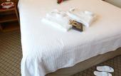 Туры в отель Bourbon Convention Hotel Joinville