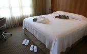 Туры в отель Bourbon Convention Hotel Joinville