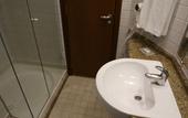 Туры в отель Bourbon Convention Hotel Joinville
