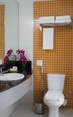 Туры в отель Alameda Vitoria Hotel