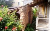 Туры в отель Hotel Estalagem Porto Seguro