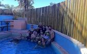 Туры в отель Villaggio Orizzonte