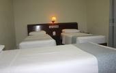 Туры в отель David Plaza Hotel