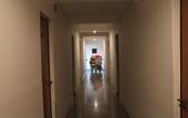 Туры в отель David Plaza Hotel