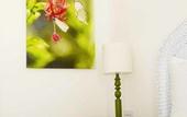 Туры в отель Hotel Solar do Arco