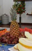 Туры в отель Joalpa Hotel Cabo Frio