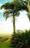 Туры в отель Hotel Villa Santo Agostinho