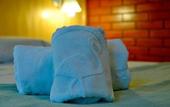Туры в отель Residencial Pantanal Santa Cruz