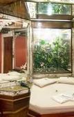 Туры в отель Hotel Avenida