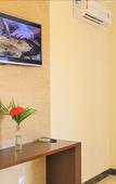 Туры в отель Vila Miola Hotel