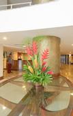 Туры в отель Oasis Atlantico Fortaleza