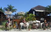 Туры в отель Hostel Sereia do Mar