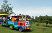 Туры в отель Hotel Fazenda Sete Lagos