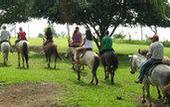 Туры в отель Hotel Fazenda Sete Lagos