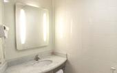 Туры в отель ibis Joinville