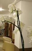 Туры в отель San Remo Canasvieiras