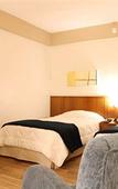 Туры в отель Travel Inn Hotels Ibirapuera