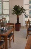 Туры в отель Tulip Inn Vila Velha