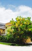 Туры в отель Pousada Solarium