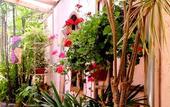 Туры в отель Pousada Pedra Rosa