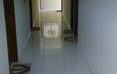 Туры в отель Suites Sao Francisco