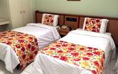 Туры в отель Hotel Nacional Inn Aracatuba