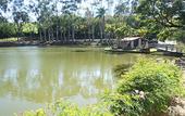 Туры в отель Big Valley Hotel Fazenda