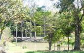 Туры в отель Big Valley Hotel Fazenda
