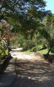 Туры в отель Big Valley Hotel Fazenda
