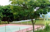 Туры в отель Big Valley Hotel Fazenda
