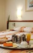 Туры в отель Guararema Parque Hotel