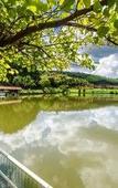 Туры в отель Guararema Parque Hotel