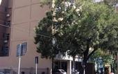 Туры в отель Hotel Express Terminal Tur - Rodoviaria Porto Alegre