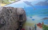Туры в отель Hotel Tulipa
