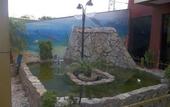 Туры в отель Hotel Tulipa