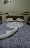 Туры в отель Hotel Tulipa