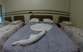 Туры в отель Hotel Tulipa
