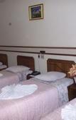 Туры в отель Hotel Tulipa